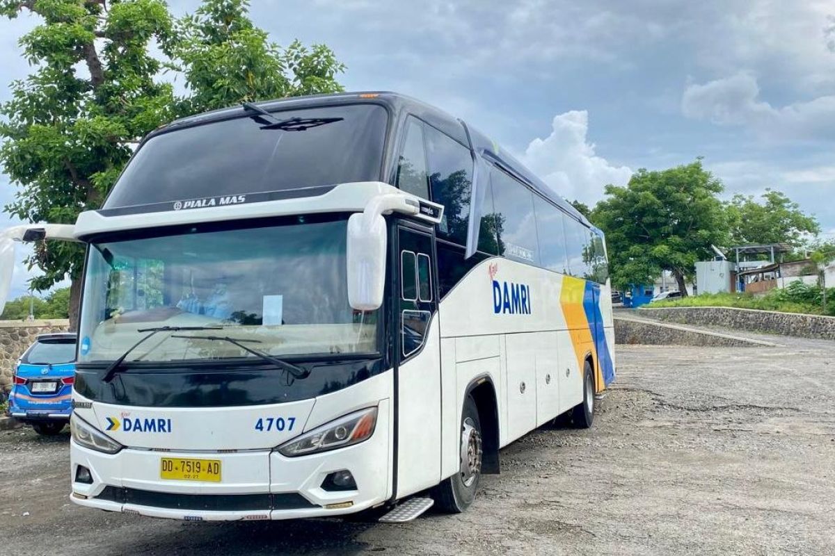 Hubungkan Pulau Sulawesi, DAMRI Hadirkan Rute Makassar-Palu PP