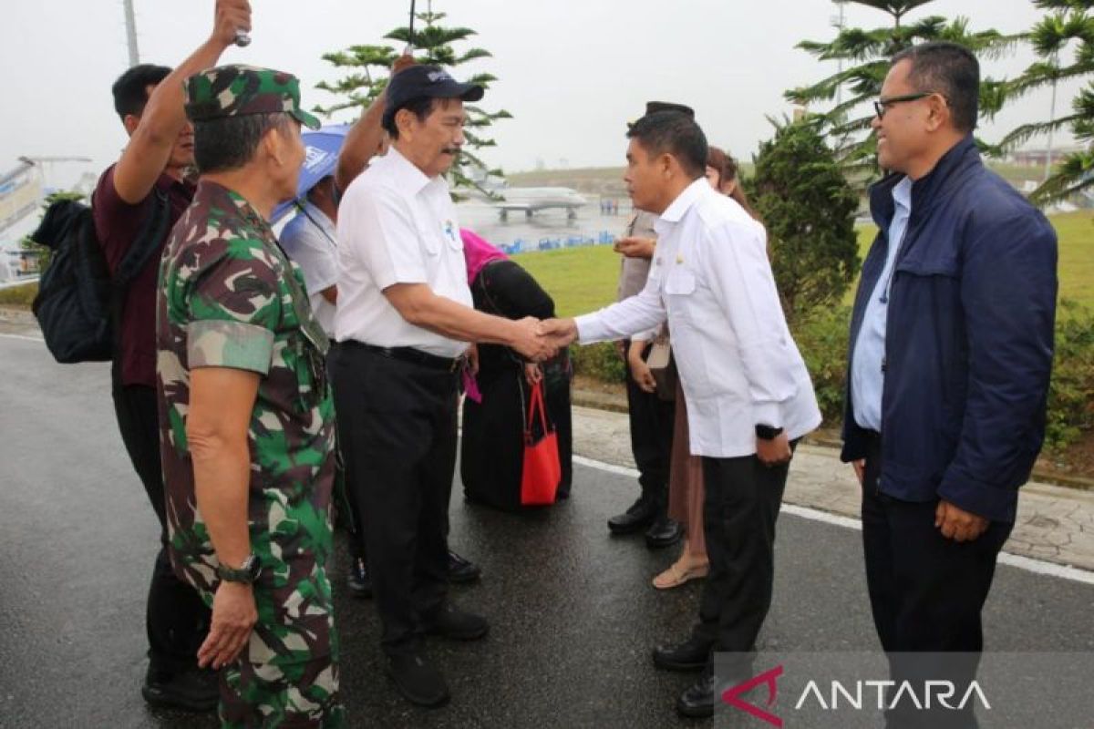 Pj Bupati Taput sambut kunjungan Menko Marinves di Bandara Silangit