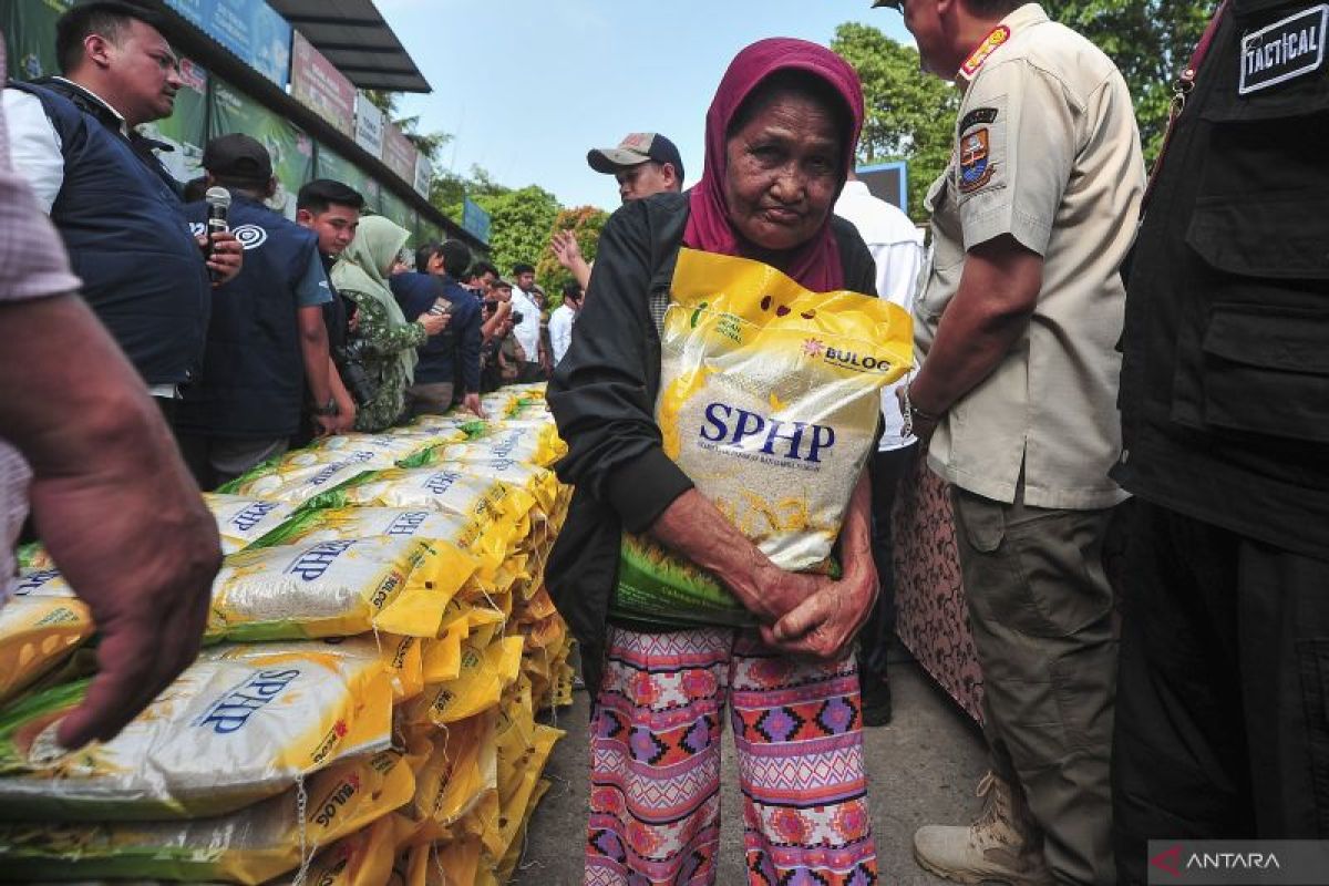 Bapanas ungkap peran penting cadangan pangan pemerintah daerah