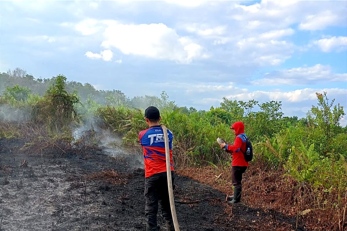 BMKG: Waspada potensi karhutla Kotawaringin timur meningkat