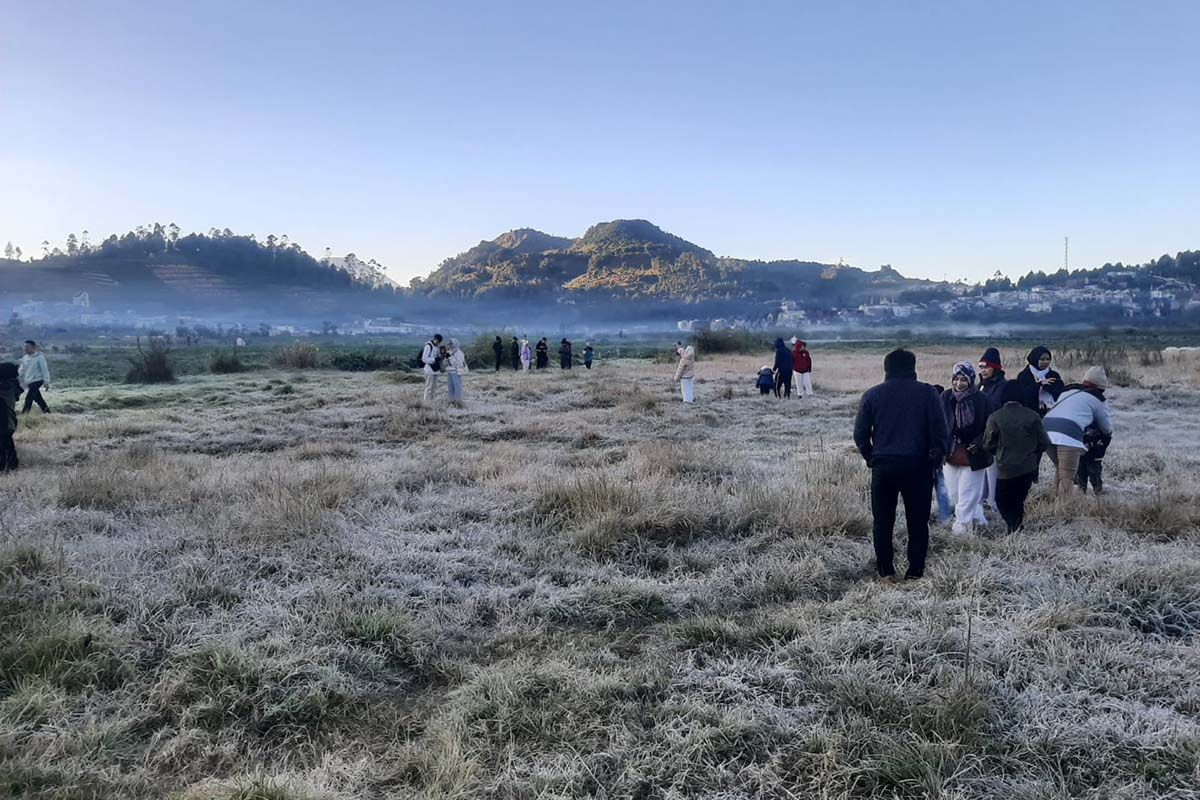 Begini penampakan embun beku selimuti kompleks Candi Arjuna Dieng