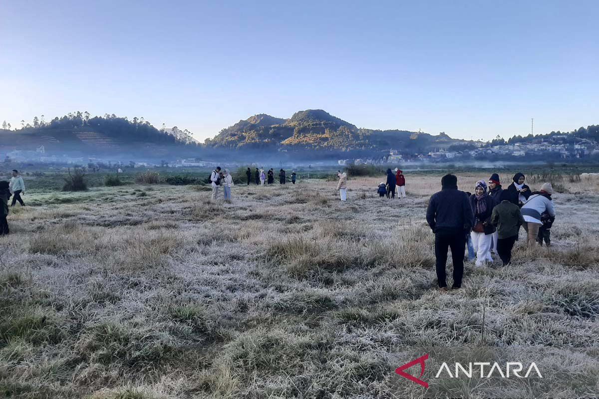 Embun beku kembali "selimuti" kompleks Candi Arjuna Dieng