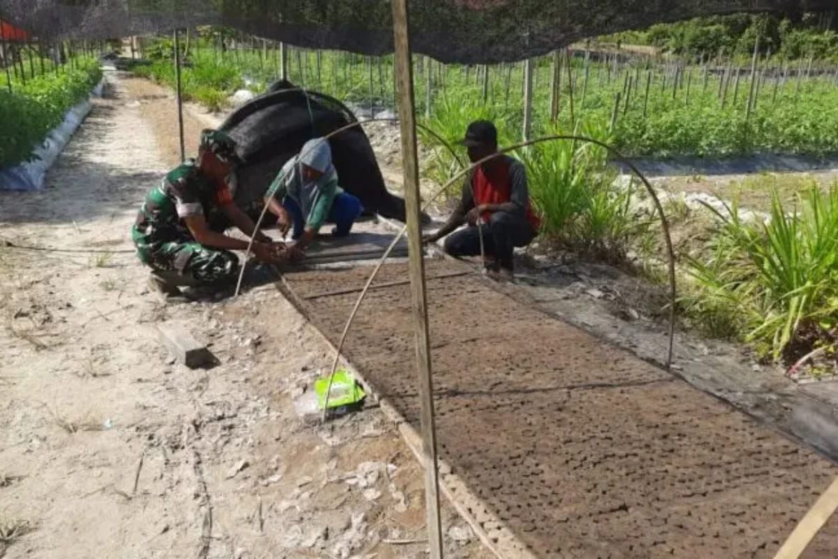 Kodim PPU sinergi kelompok tani garap lahan tidur untuk pangan