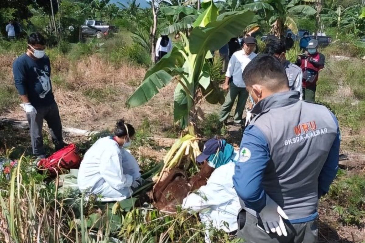 BKSDA Kalbar melakukan nekropsi orangutan