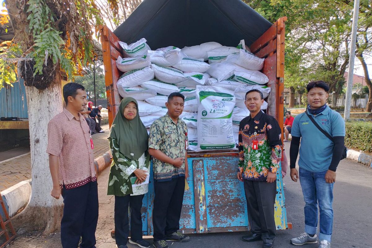 Pemkab Lumajang salurkan bantuan pupuk kepada petani tembakau