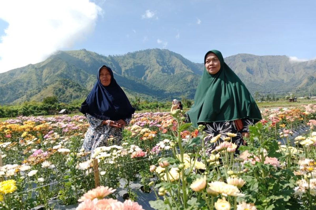 Usai kebakaran, Bukit Gendong kawasan Gunung Rinjani tetap dibuka