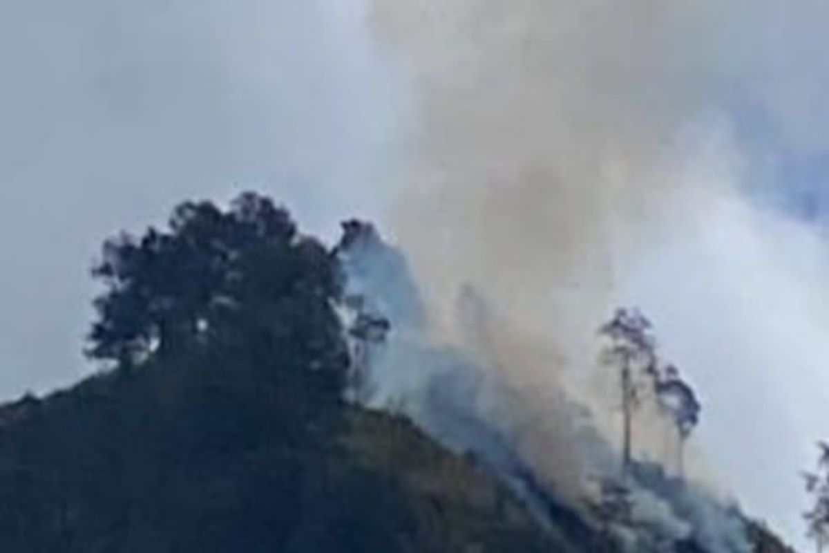 Empat hektare lahan savana di kaki Gunung Rinjani Sembalun terbakar