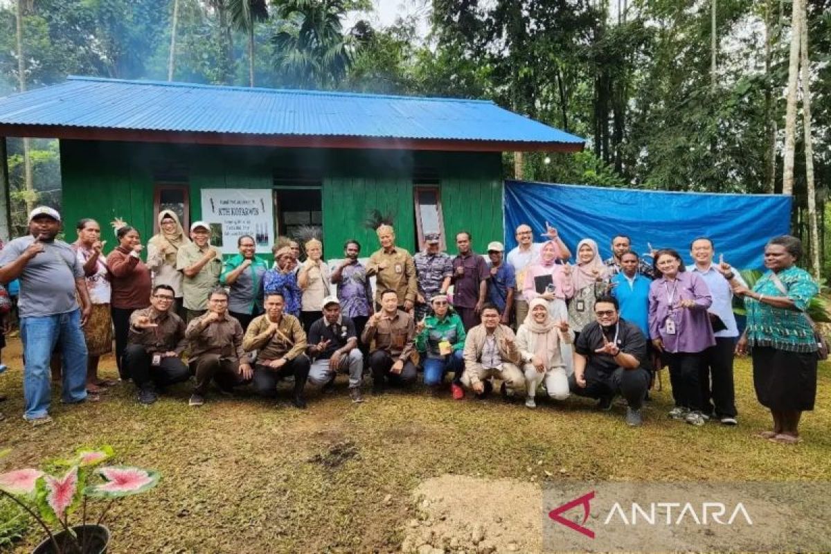 Permintaan tinggi, BRIN budidayakan tanaman kayu putih di Biak Numfor