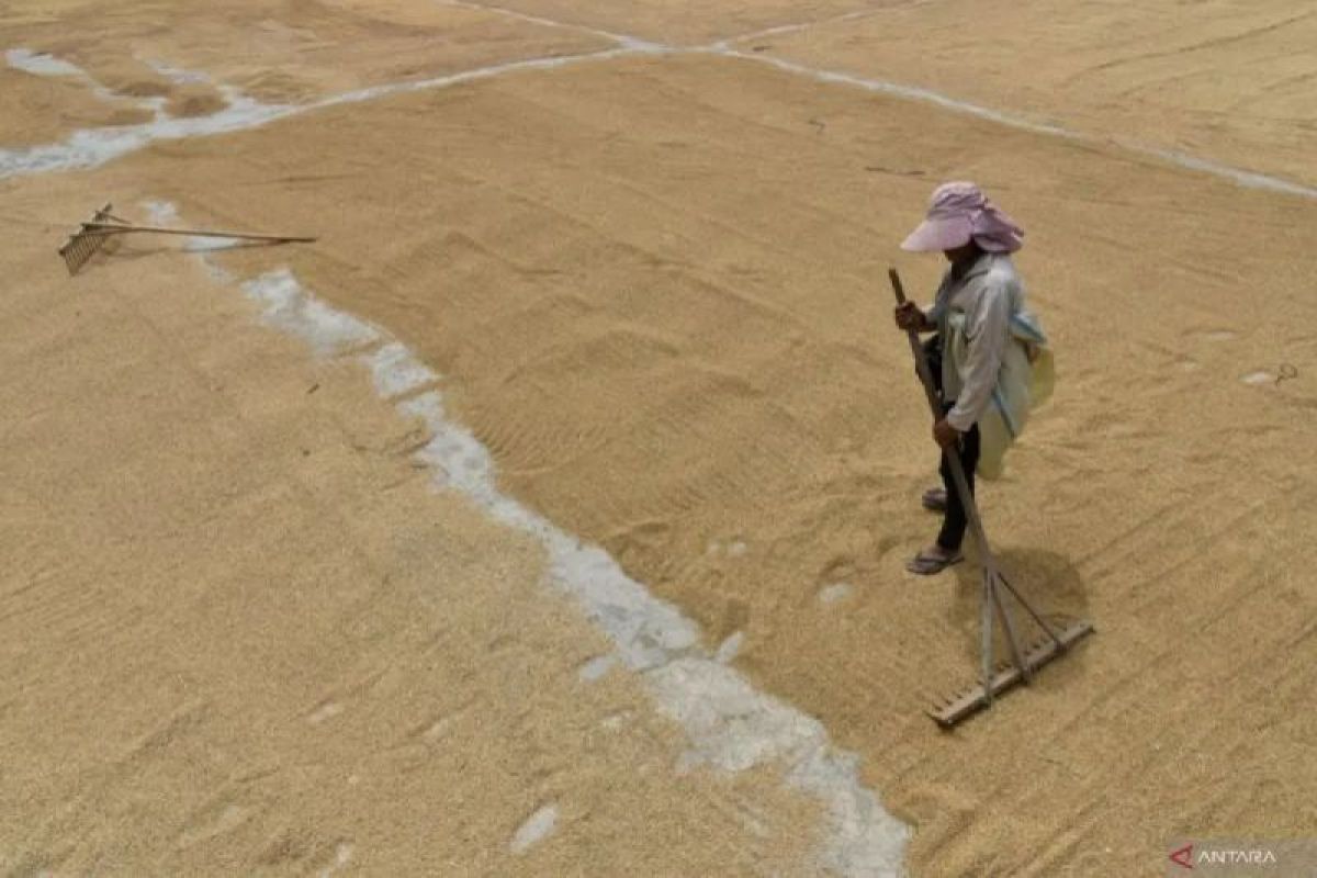 Pemprov Sumut siapkan UMKM  produksi bahan baku dari komoditas pangan