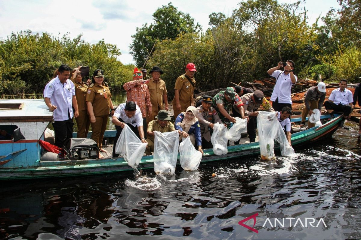 Pemkot Palangka Raya tebar 100.000 bibit ikan betok di Danau Teluk