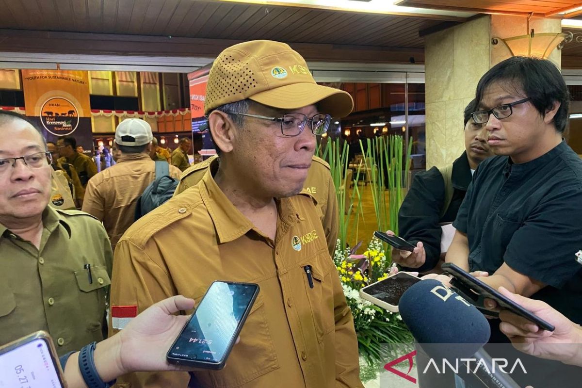 KLHK siapkan area konservasi bagi anoa berkeliaran di tambang Sultra