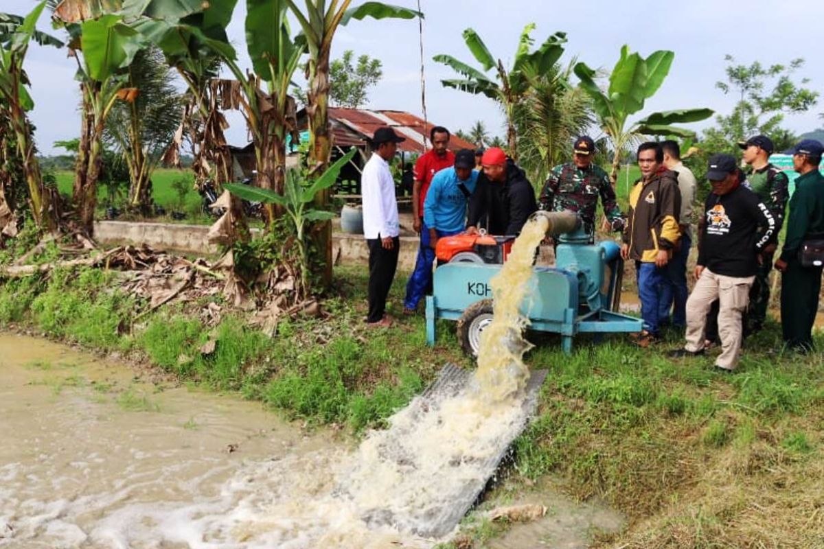 Pemkab Kukar  pacu peningkatan produksi pertanian