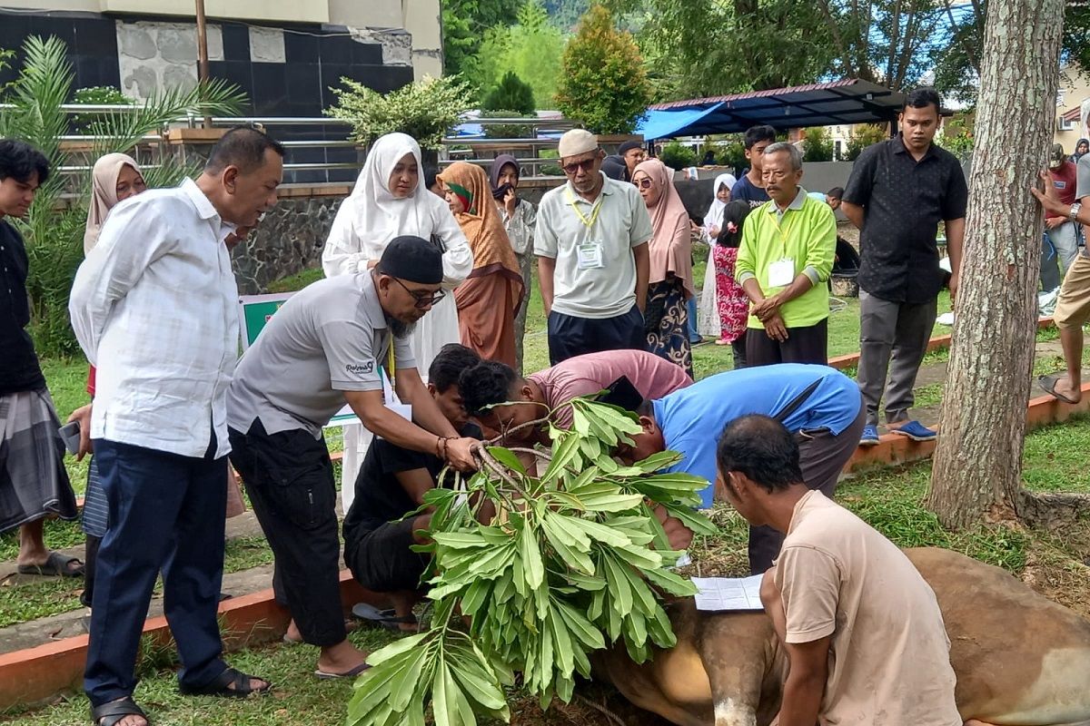 Bupati Rusma Yul Anwar laksanakan kurban di Masjid Akbar Baiturrahman Painan