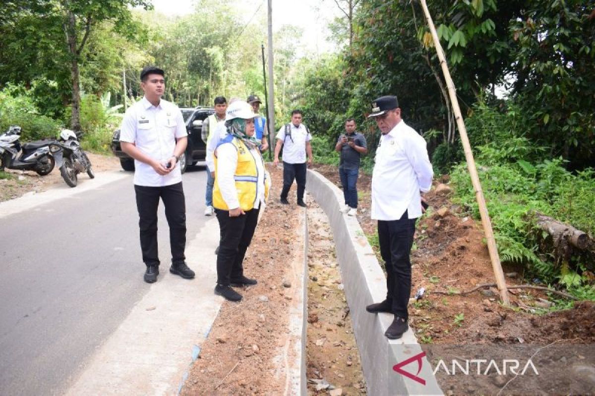 Bupati tinjau pembangunan dua ruas jalan di Mandailing Natal