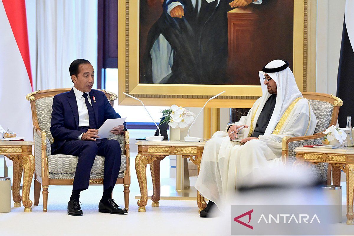 Jokowi, MBZ discuss financial center in Indonesia's Nusantara