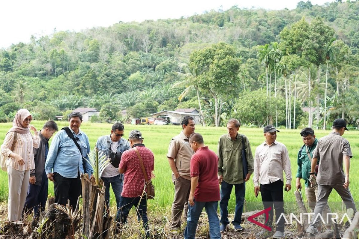 Untan kembangkan kebun pendidikan di Mempawah Kalbar