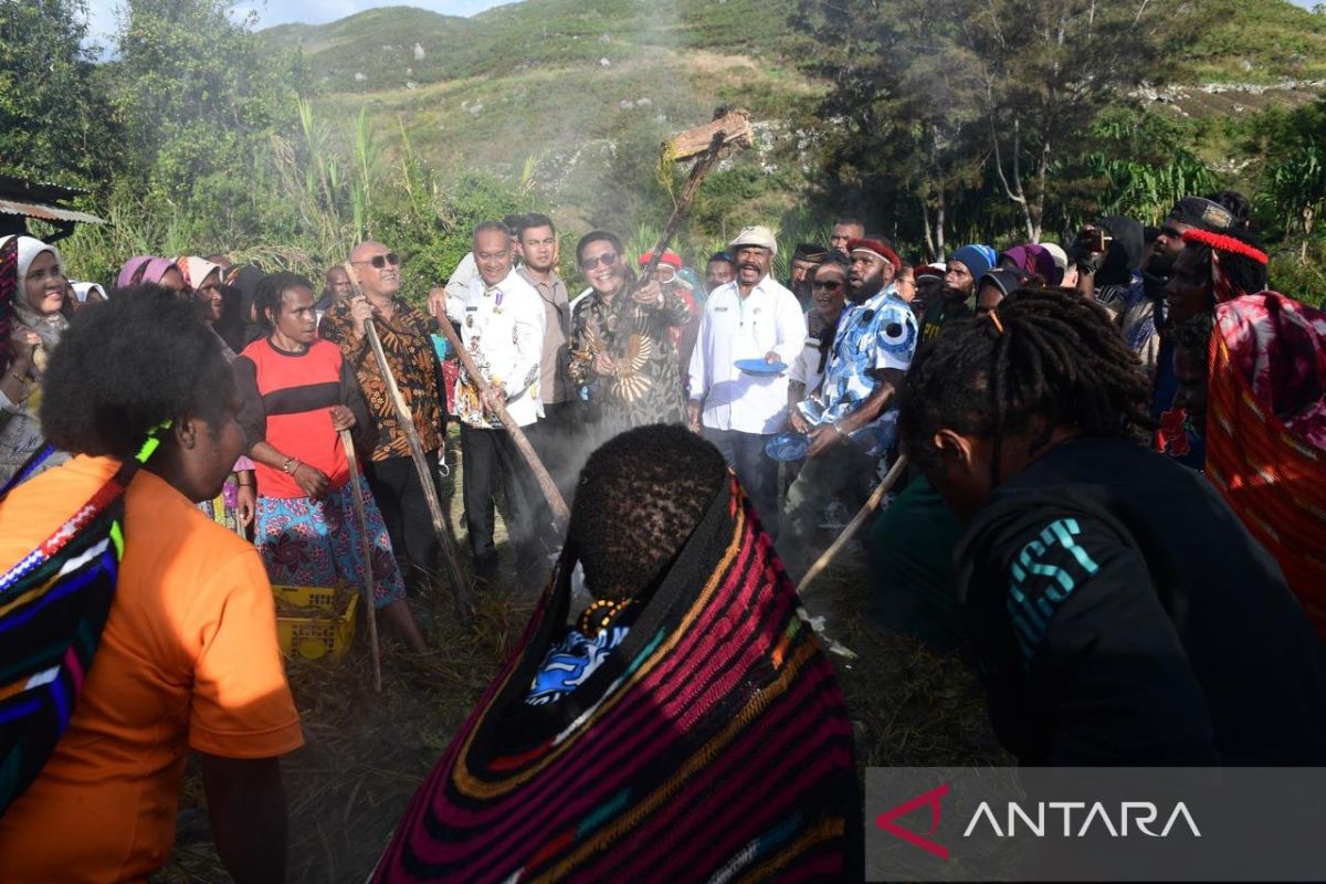 Bakar Batu di Papua jadi warisan nenek moyang simbol perdamaian