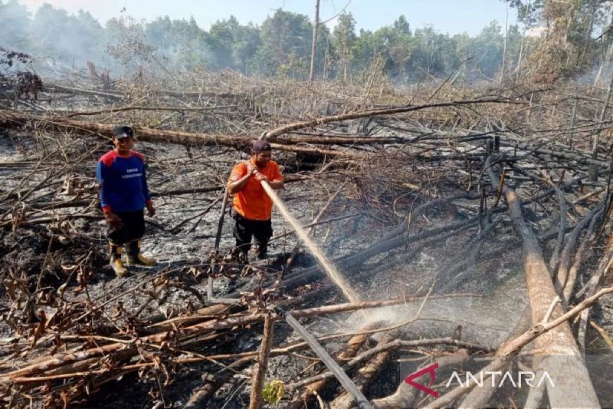 BPBD Palangka Raya catat 3,88 hektare lahan terbakar selama Juli 2024