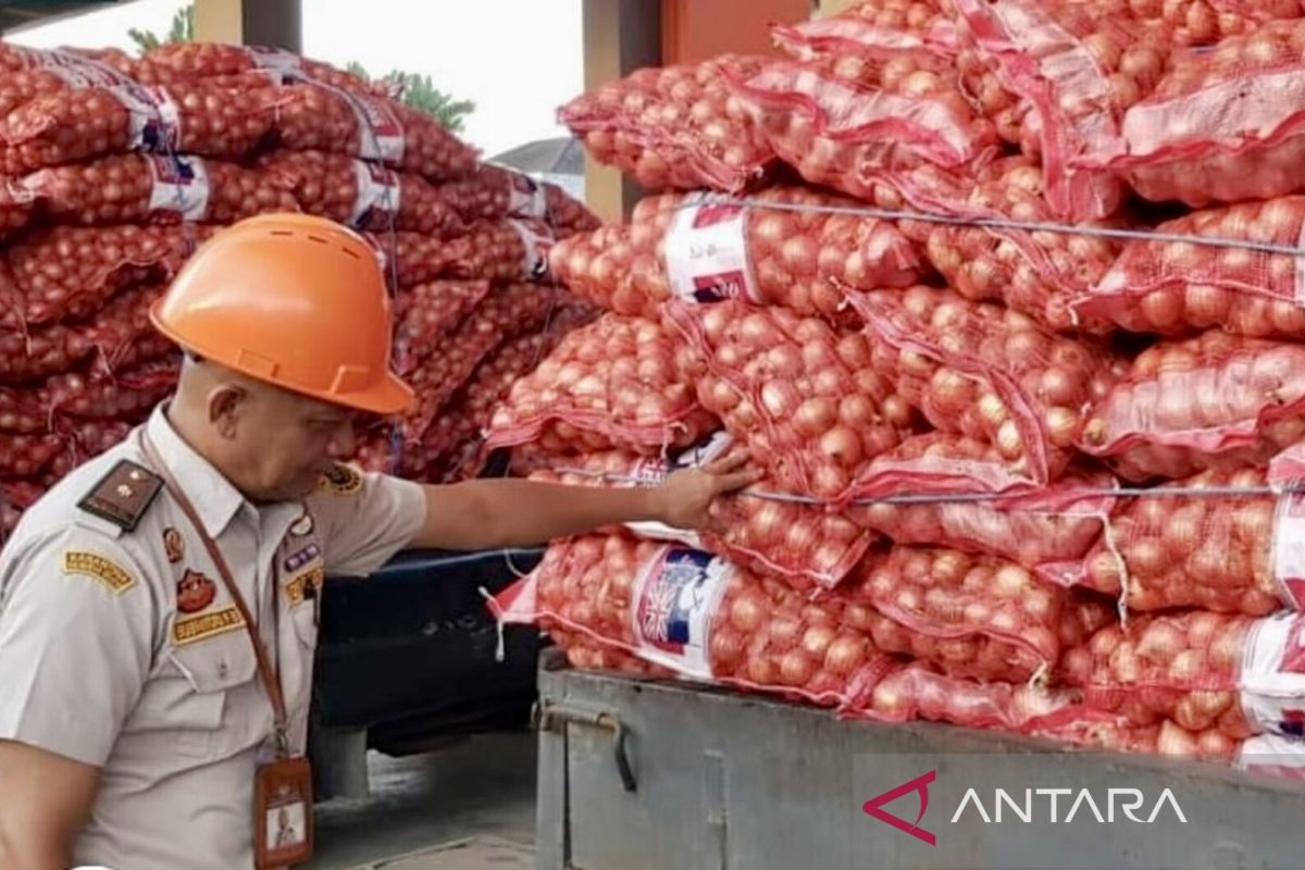 Karantina Kalsel sita ratusan karung bawang bombai impor ilegal