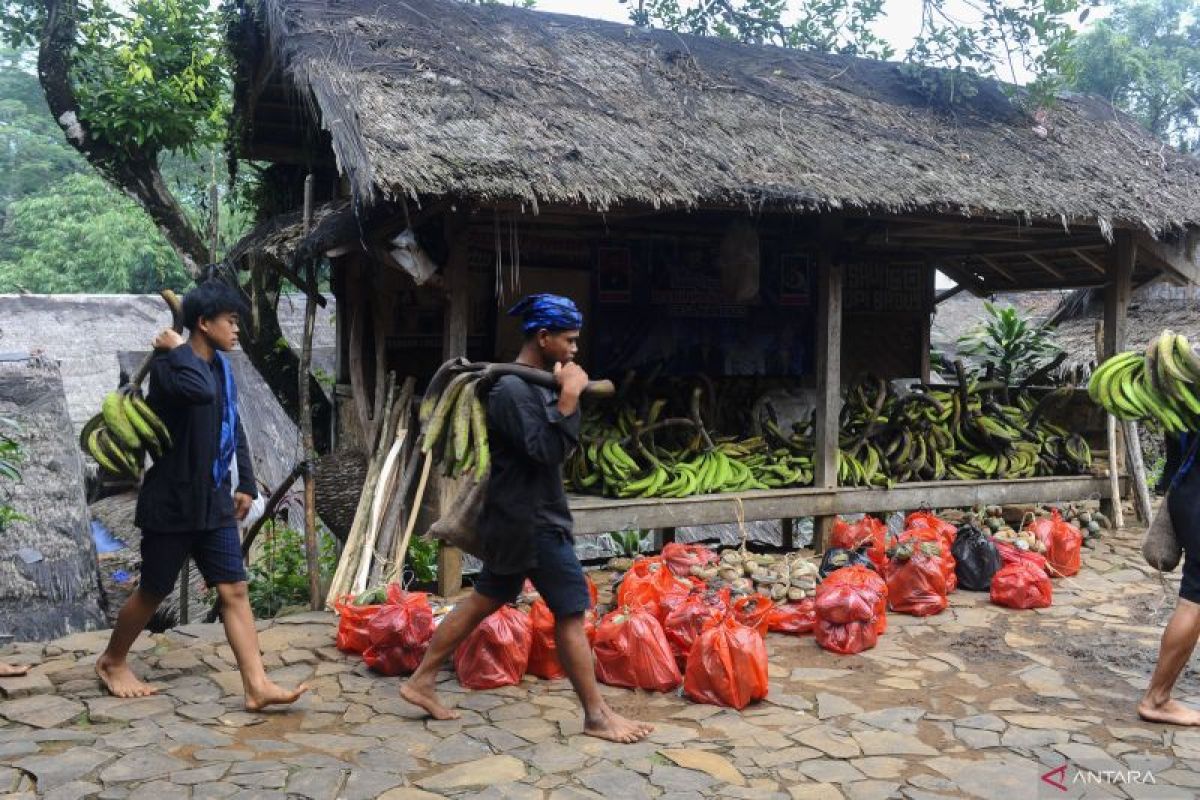 Digigit ular berbisa, empat warga Badui dirujuk ke rumah sakit