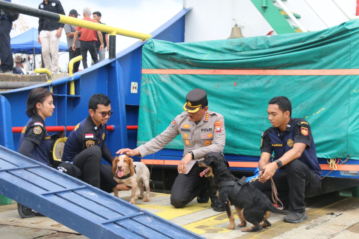 Joany: Sang Pengendus Andal yang Temukan Narkotika di Lambung Kapal