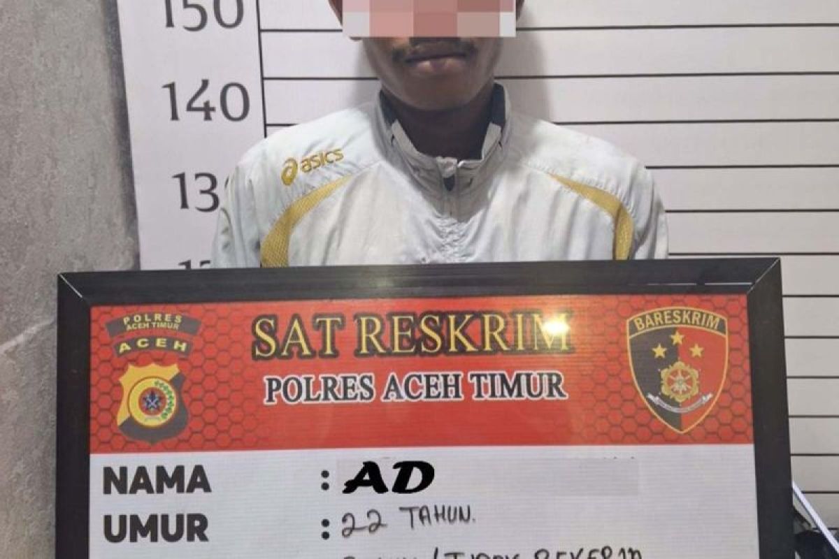 Polres Aceh Timur tangkap pengancam warga pakai pisau