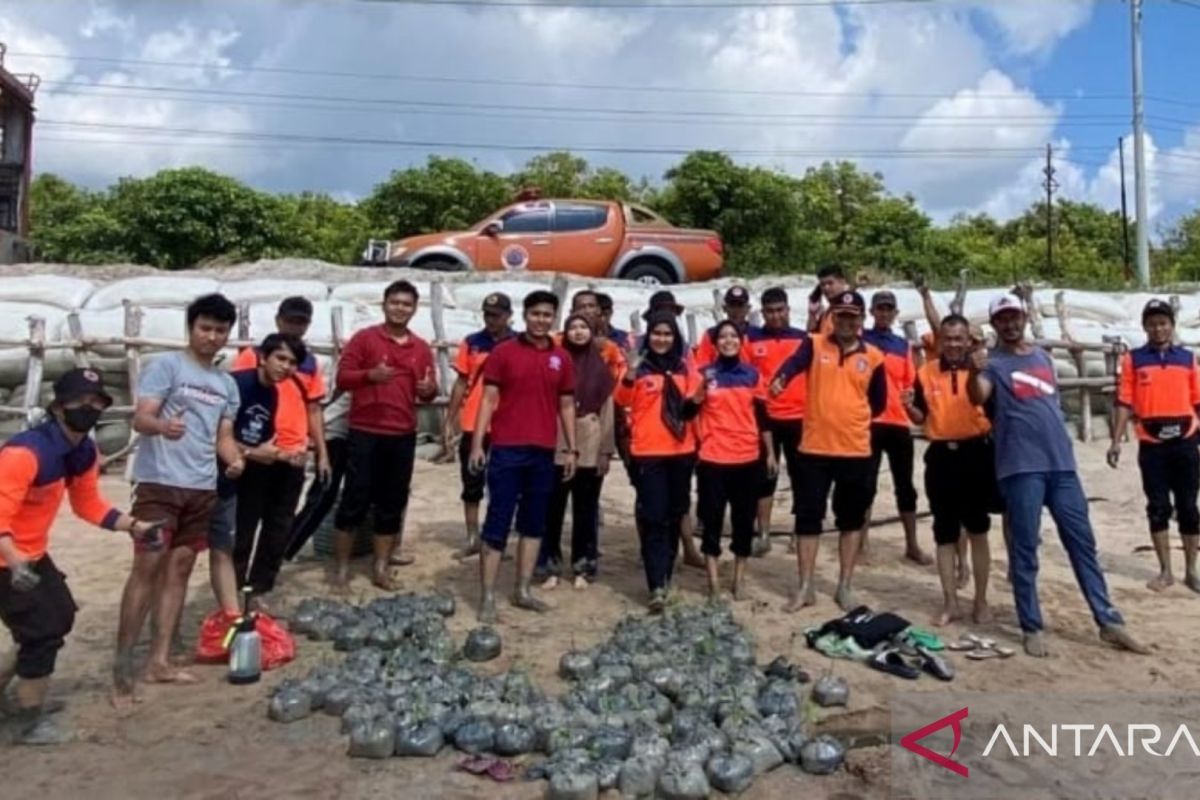 Ketua BPBD Babel ajak mahasiswa IPB tanam bakau dengan metode kantong plastik