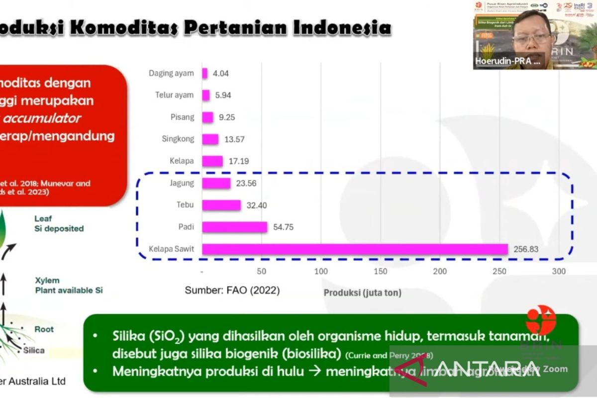 BRIN kembangkan pemanfaatan silika biogenik dari limbah agroindustri