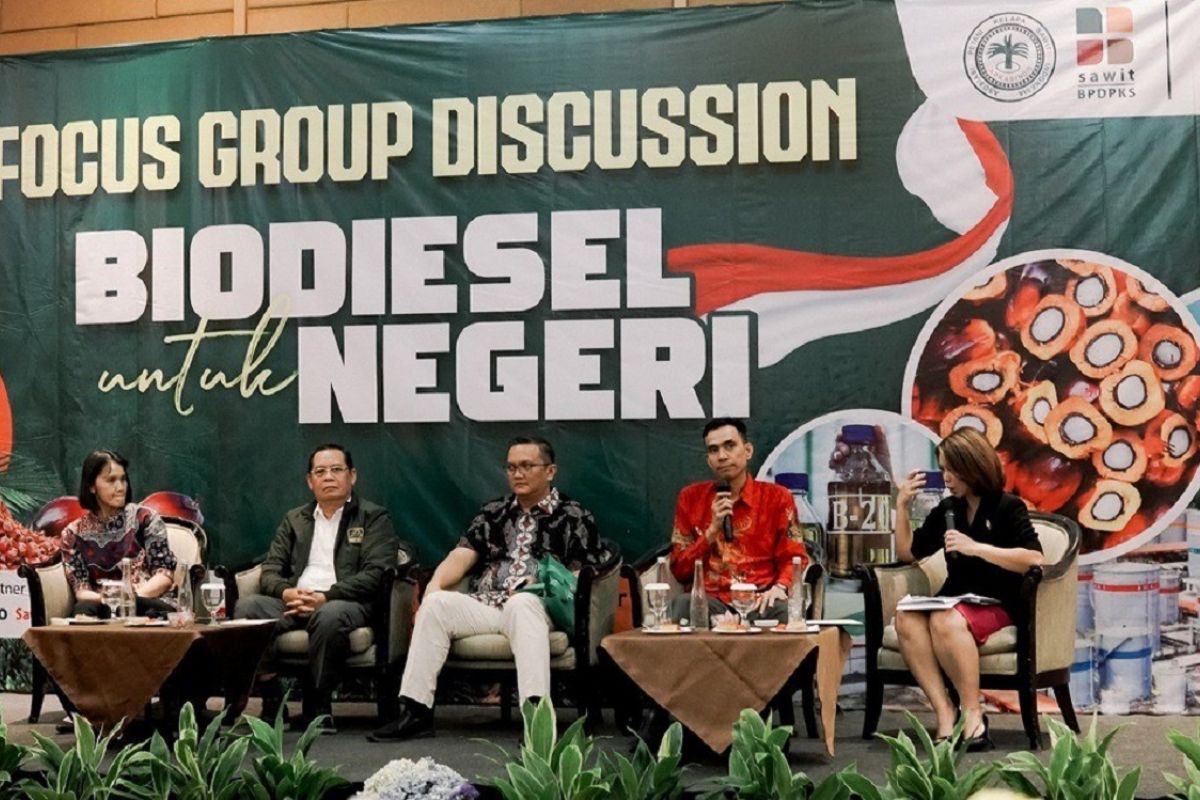 Keberlanjutan program biodiesel perlu penanganan sektor hulu sawit