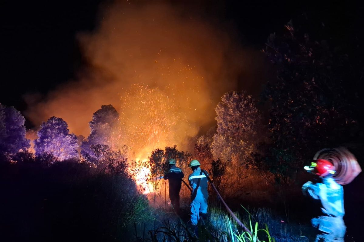 Damkar Bintan Utara dan Kepri tangani kebakaran lahan dua hektare