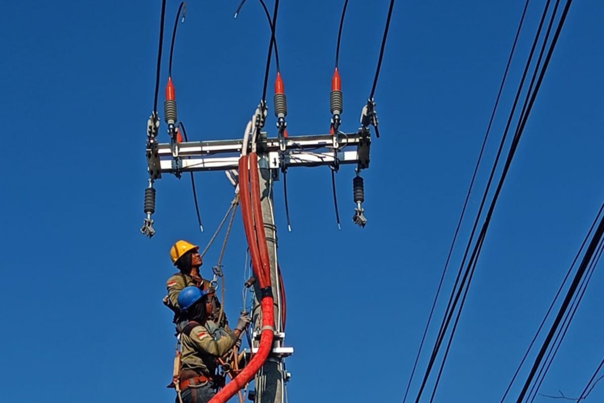 PLN Bali catat pertumbuhan pelanggan 141 persen pada Januari-Juni 2024