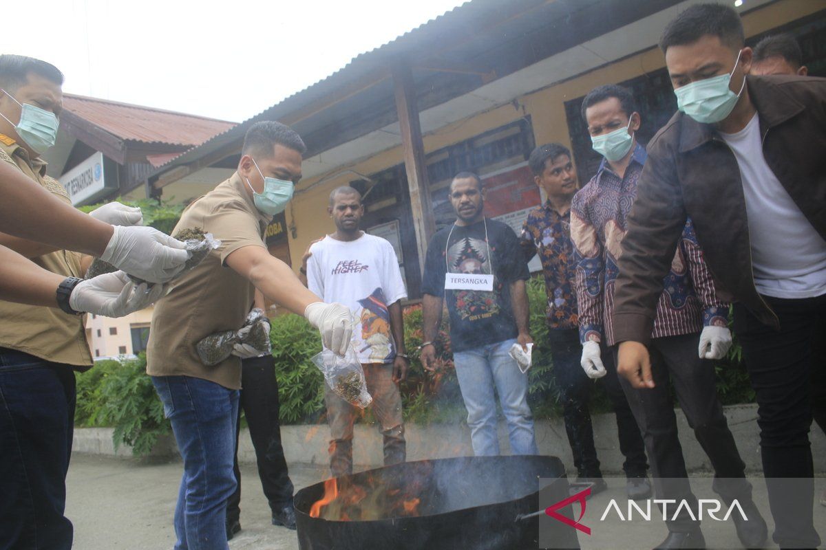 Polres Jayapura musnahkan 2.130 butir obat keras dengan 2,5 kg ganja