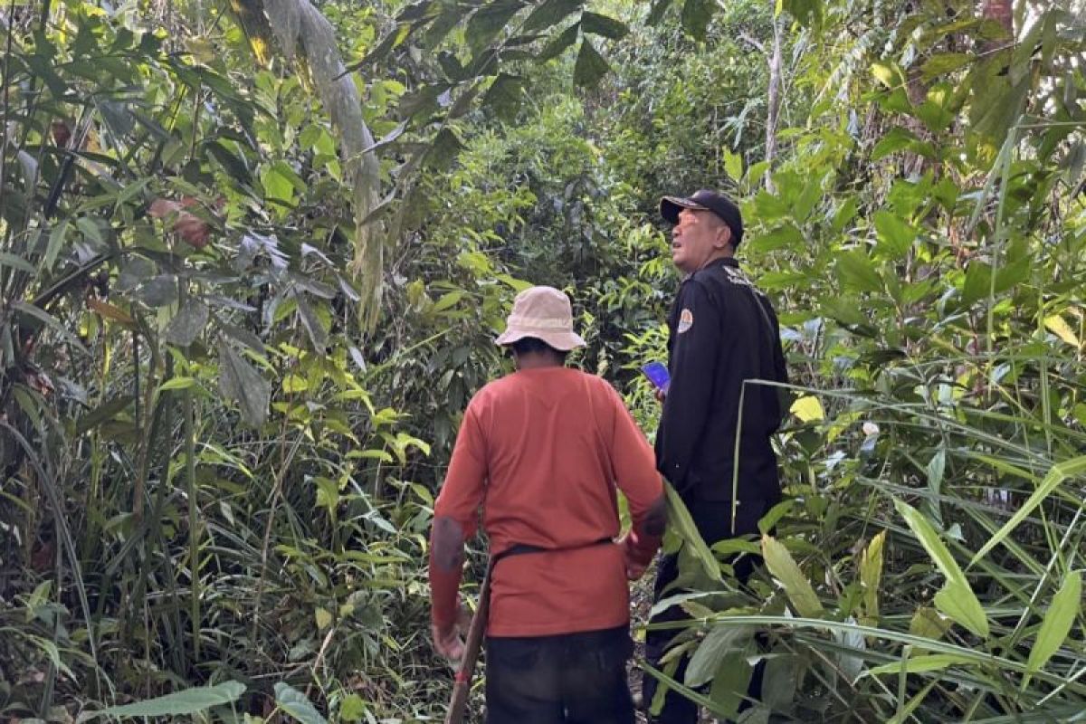 BKSDA: Kamera trap di Pulau Hanibung rekam kemunculan berbagai satwa ...