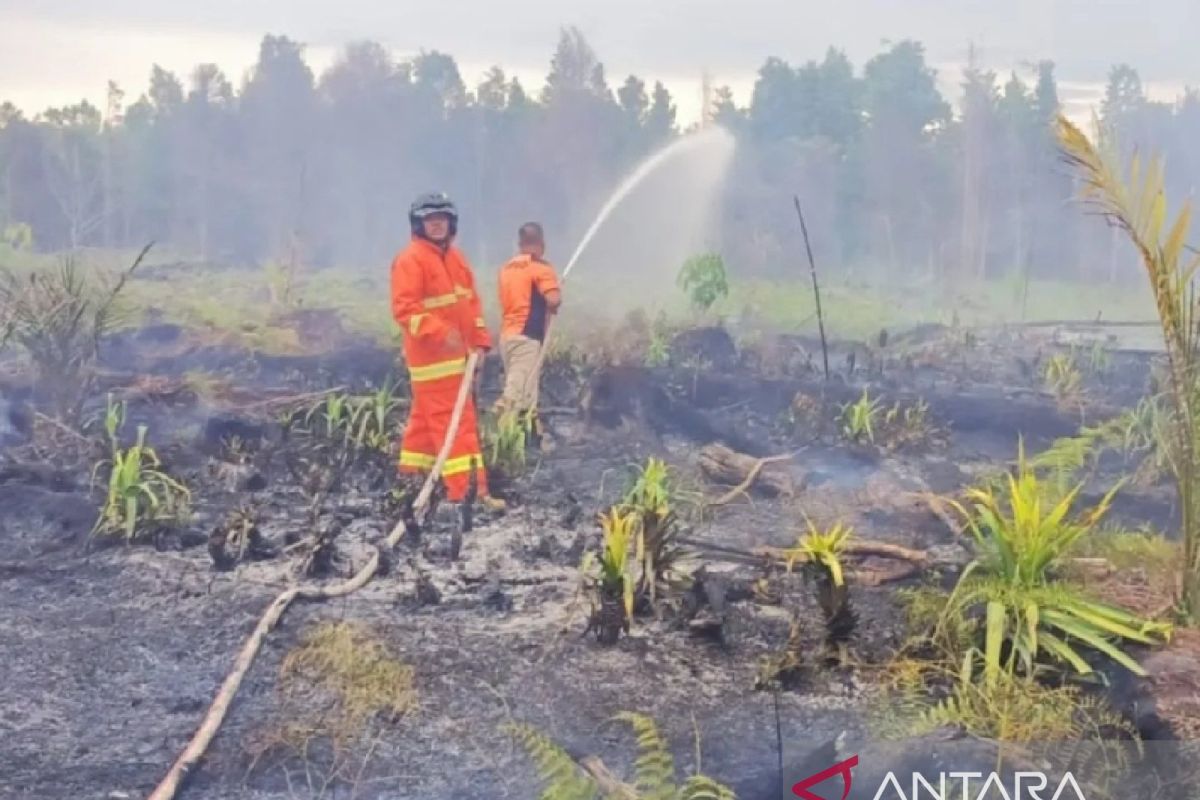 BPBD pantau 12 titik panas di Kapuas Hulu