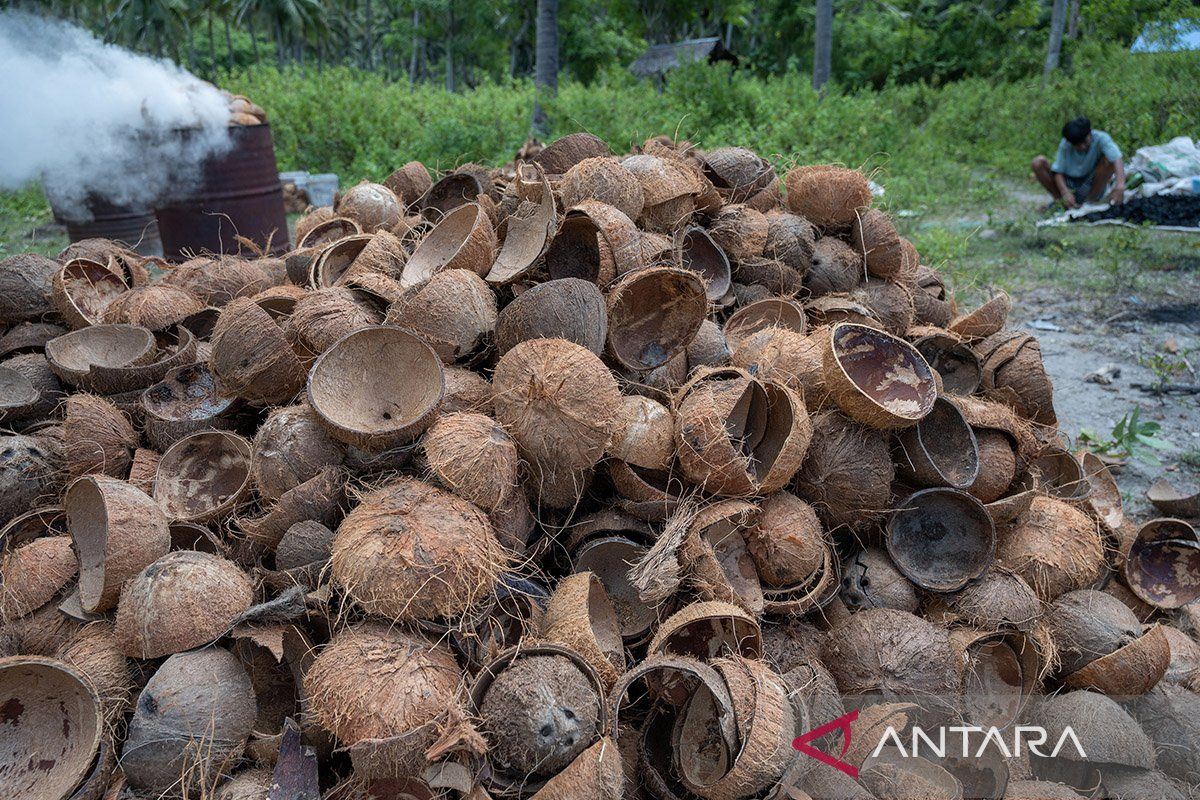 Tak ada yang terbuang dari kelapa di Desa Trenten Jawa Tengah