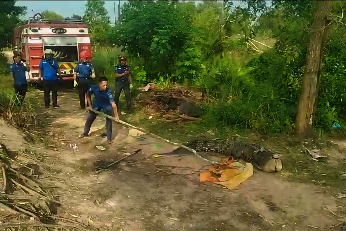 Petugas evakuasi buaya muara 3,5 meter di bekas tambang pasir di Bintan