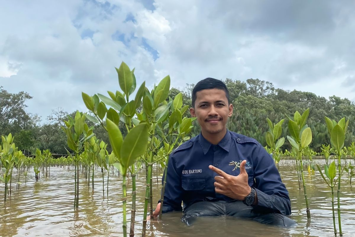 Mangrove berikan banyak manfaat bagi warga Kubu Raya