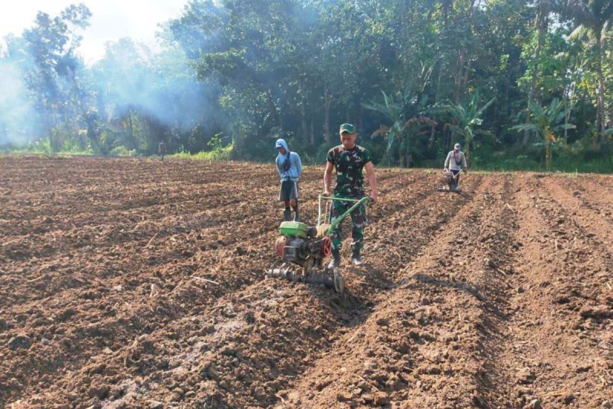 Kodim 0731/Kulon Progo mencetak lahan tanaman hortikultura di Banyuroto