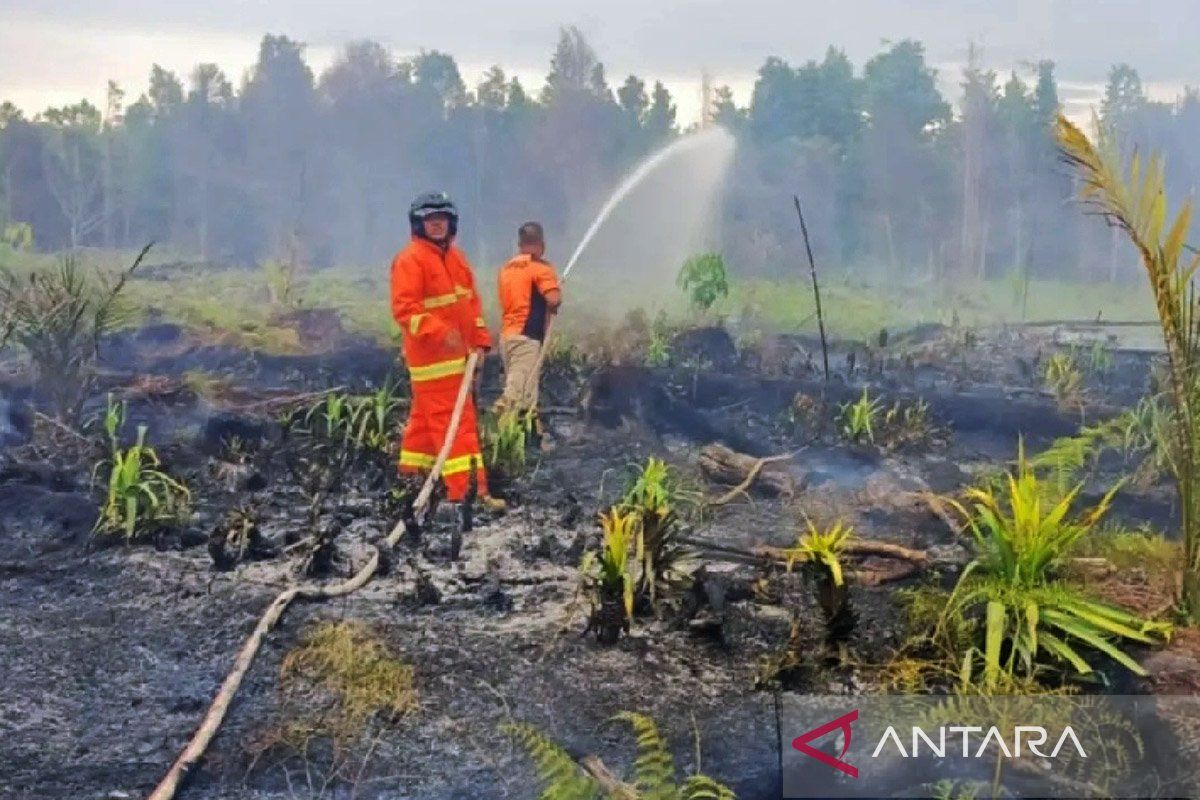 BPBD pantau 12 titik panas di Kapuas Hulu Kalbar