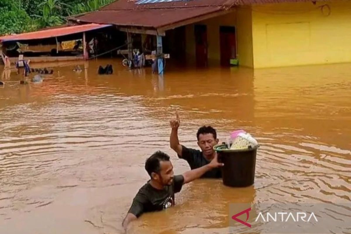 BNPB memastikan dampak banjir di Halmahera Tengah cepat teratasi