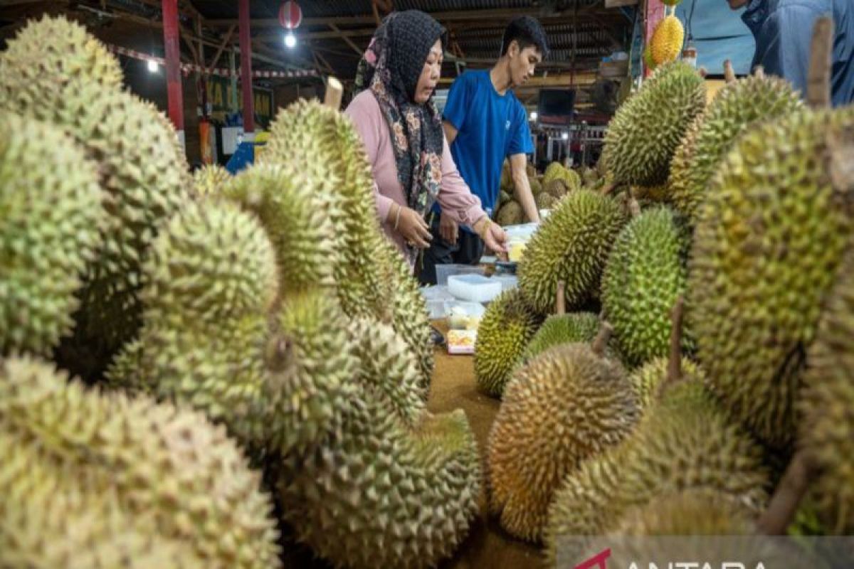 Pemprov Sulteng bantu berikan benih durian sebanyak 287.572 pohon