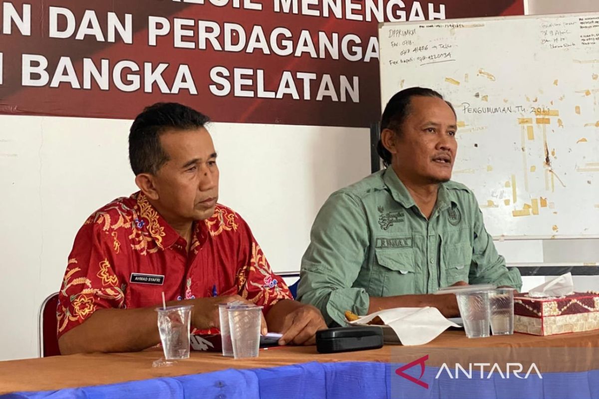 Kemilau Pesona Bangka Selatan geliatkan ekonomi pelaku UMKM