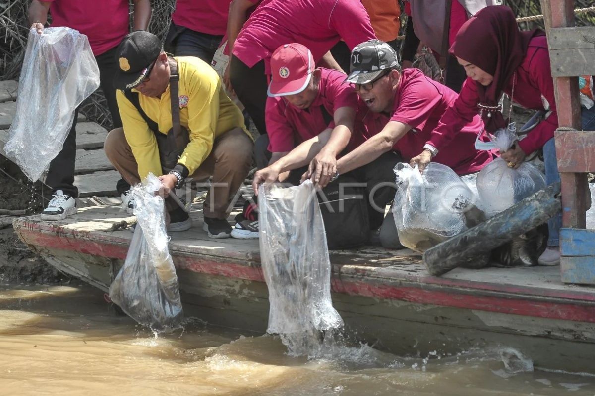 Pelepasliaran bibit ikan endemik Sungai Batanghari