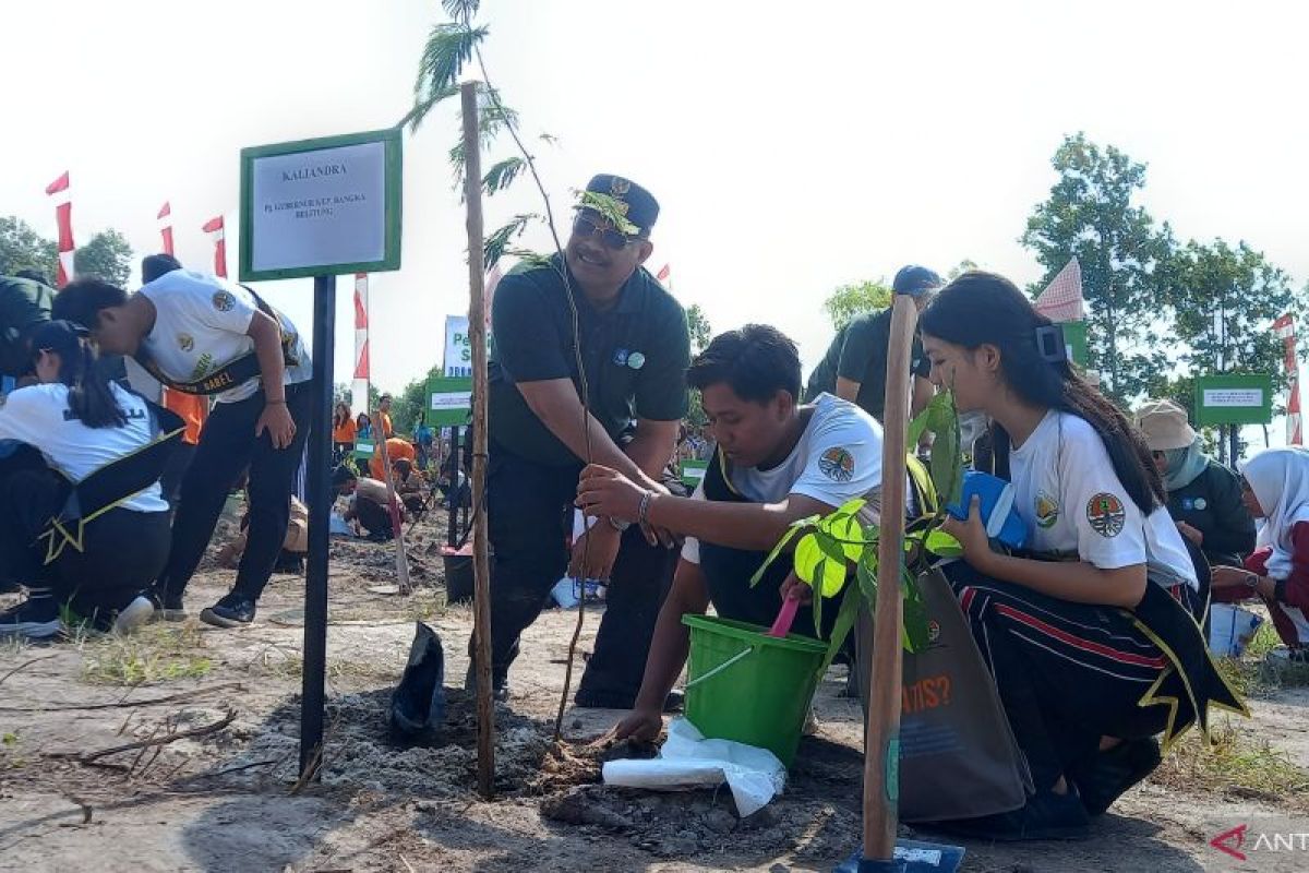 Pemprov tanam 57 ribu pohon pada peluncuran program "Semarak Babel"