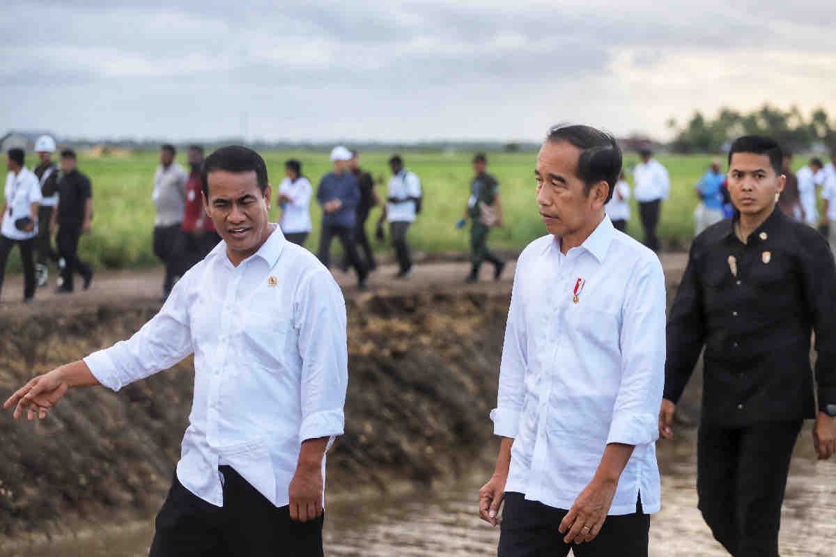 Mentan proyeksikan: Merauke  jadi lumbung beras nasional dalam 2 tahun