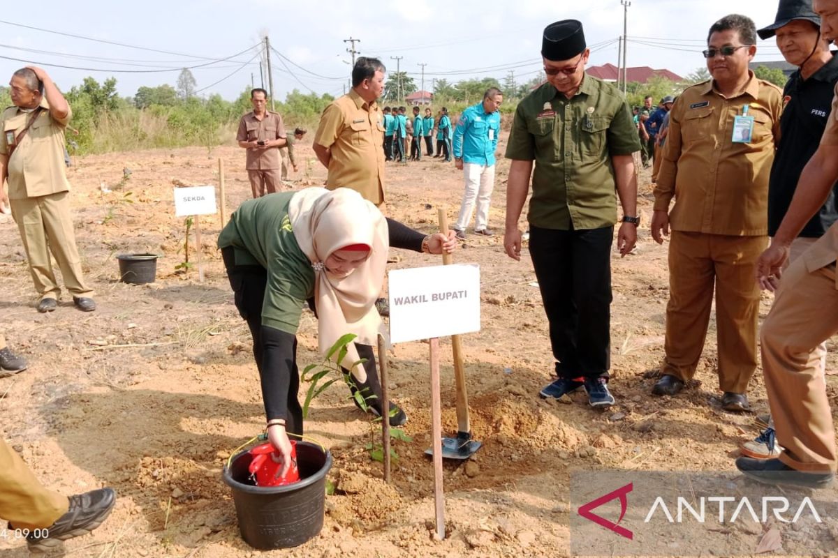 1.243 pohon ditanam pada lahan kritis bekas penambangan timah Babel