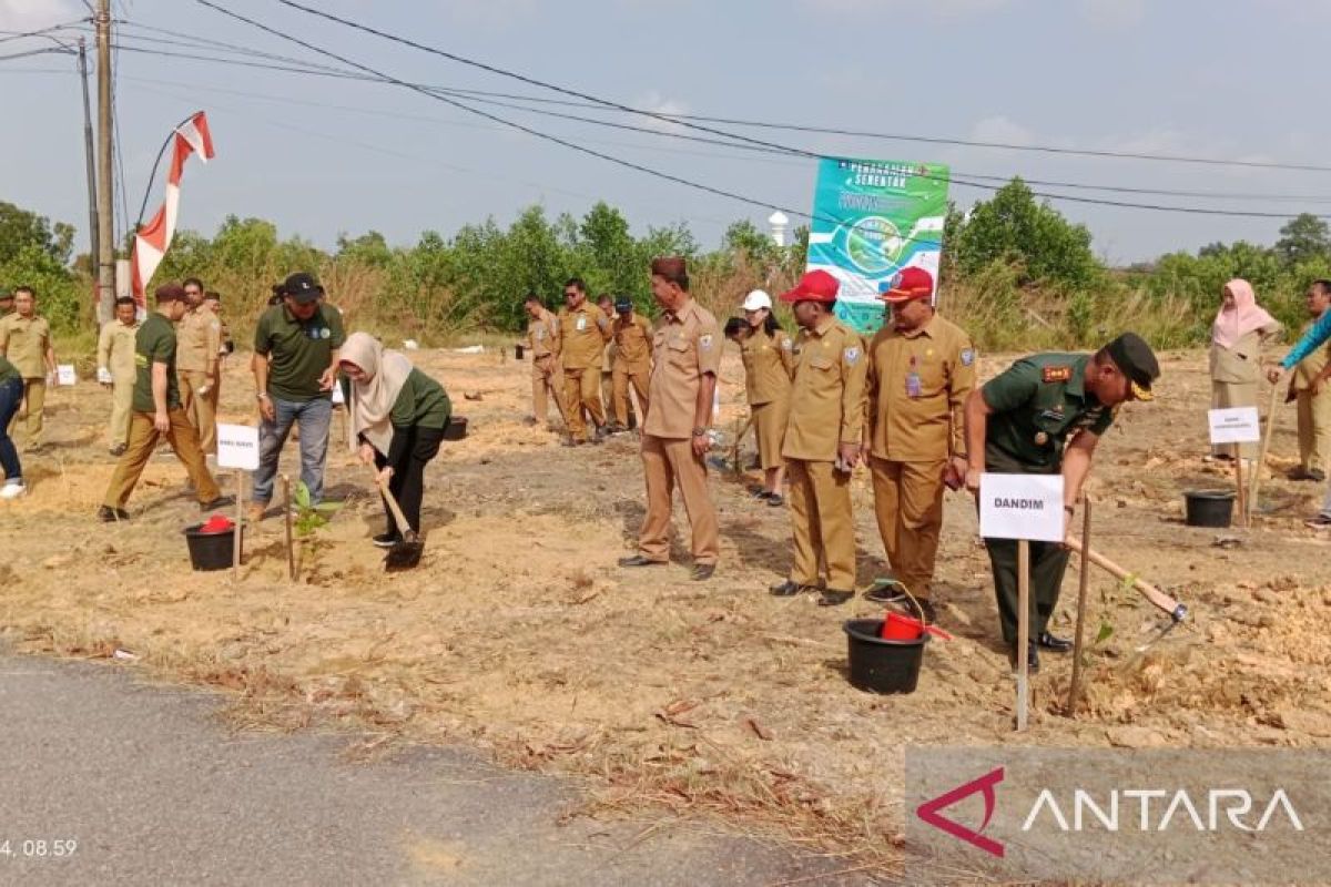 270 hektare lahan kritis di Bangka Selatan sudah dilakukan penghijauan