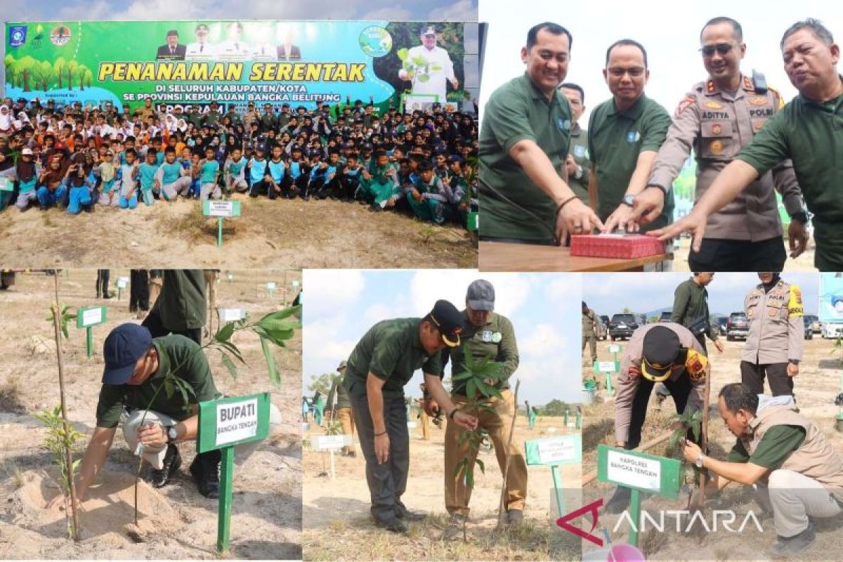 Bangka Tengah hijaukan lahan kritis bekas penambangan bijih timah