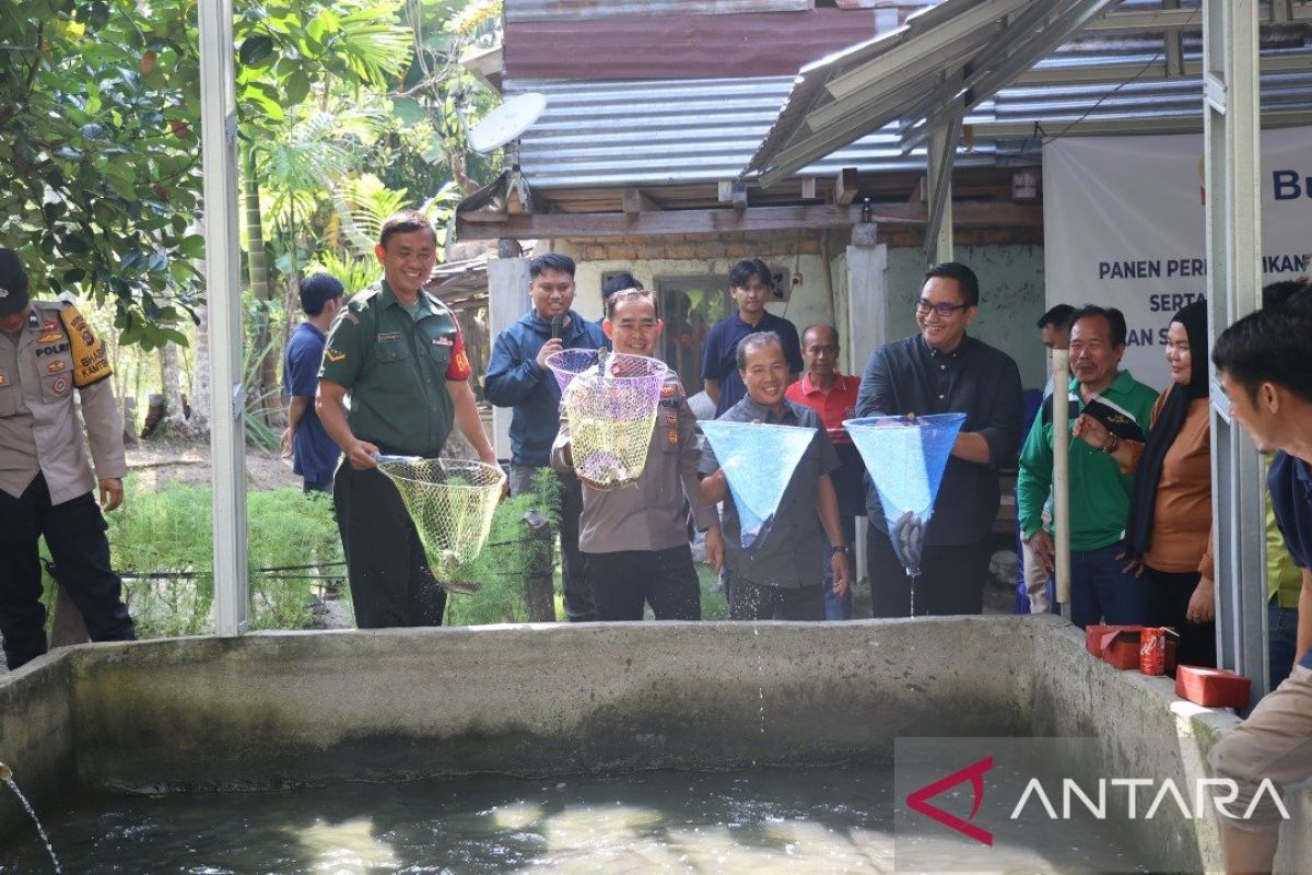 Bukit Asam tingkatkan pendapatan masyarakat lewat budidaya ikan gabus