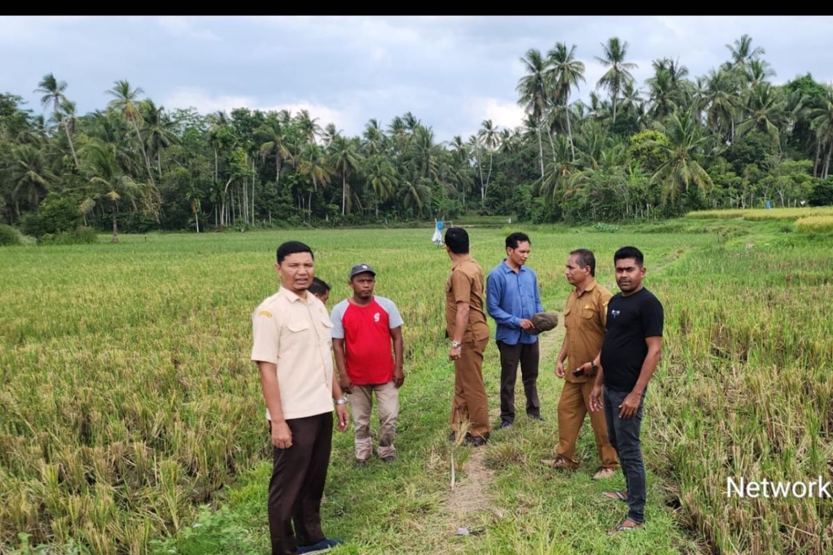 Begini komitmen Pemkab Aceh Besar tingkatkan produktivitas petani